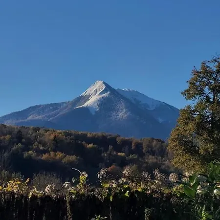 Le Clos Saint-paul - Nature * Estadens