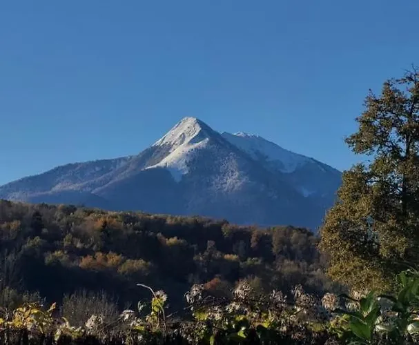 Le Clos Saint-paul - Nature * Estadens