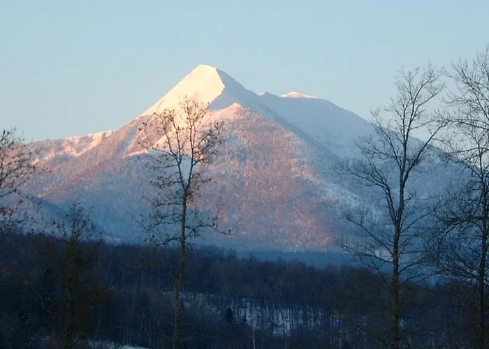 Semesterbostad Le Clos Saint-paul - Nature *
